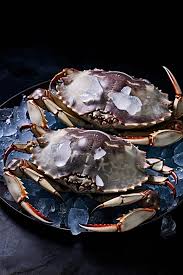 Live Crabs Supplier Andhra Pradesh